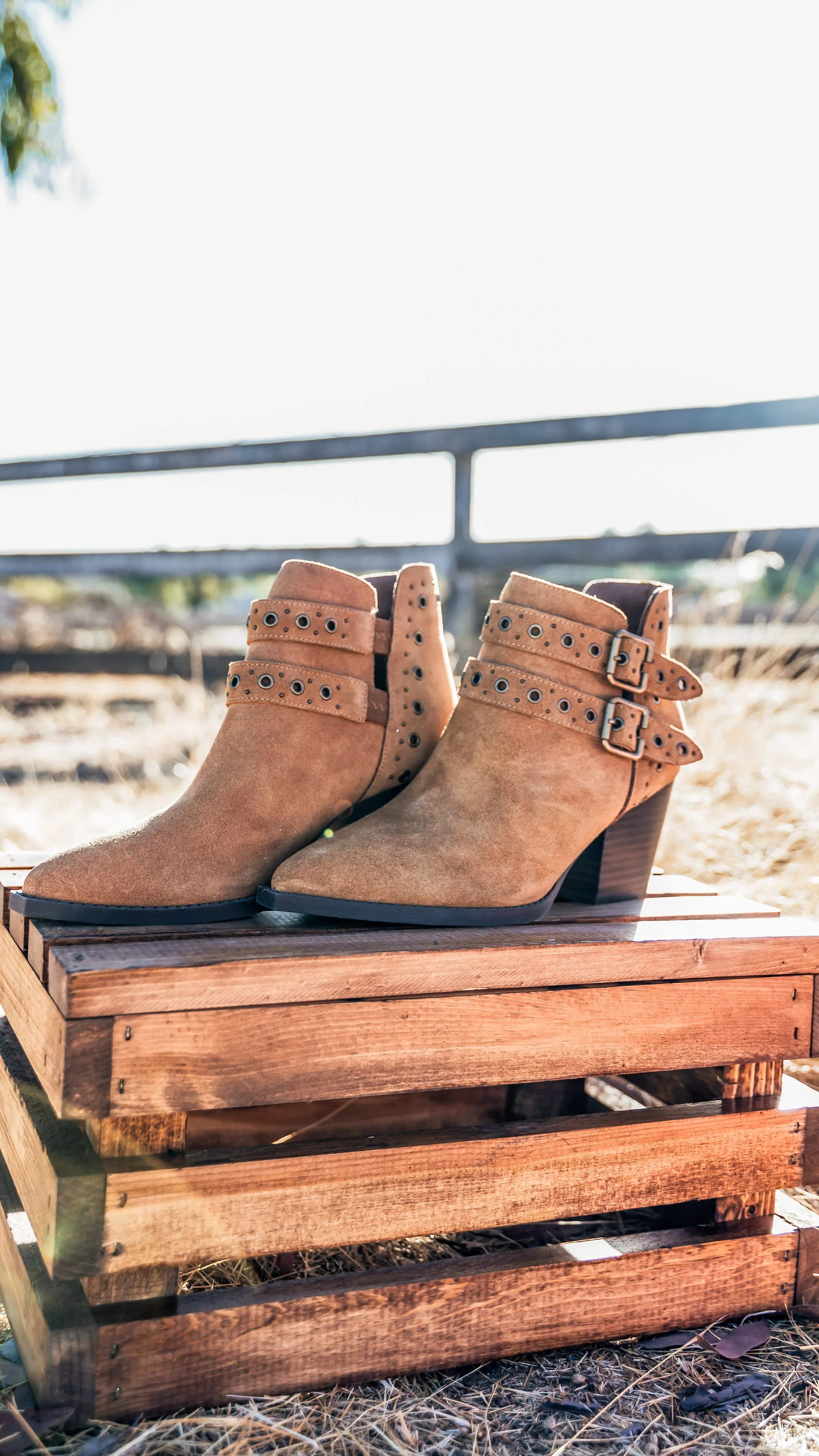 ONLINE EXCLUSIVE Elsa Leather Ankle Boot in Tan